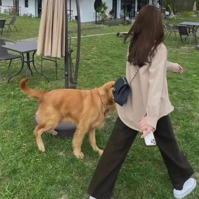 猛犸敢死队